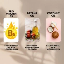 AllDay Locks Batana Hair Growth Oil – 2 Oz 14 AllDay Locks Batana Hair Growth Oil – 2 Oz -Beauty Exchanges allday locks batana hair growth oil 2 oz 1200990