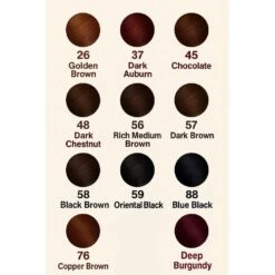 Bigen Hair Color Collection Vibrant Rich Shades - 6g -Beauty Exchanges bigen hair color collection vibrant rich shades every look 6g 231403