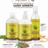 Shea Moisture SheaMoisture Lush Length Hair Care Duo – Shampoo & Conditioner 1 Shea Moisture SheaMoisture Lush Length Hair Care Duo – Shampoo & Conditioner -Beauty Exchanges cover 13a9547d 2941 4625 957e ac4059da9b3e