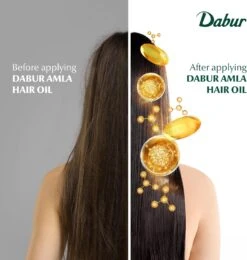 Dabur Amla Hair Oil -Beauty Exchanges dabur amla hair oil 6734112