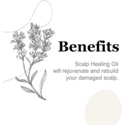 Edge Repair Ayurvedic Hair Oil - 2 Fl Oz -Beauty Exchanges edge repair ayurvedic hair oil 4 herbal infused variants for growth scalp healing heat protection 2 fl oz each 294160