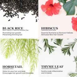 Edge Repair Ayurvedic Hair Oil - 2 Fl Oz -Beauty Exchanges edge repair ayurvedic hair oil 4 herbal infused variants for growth scalp healing heat protection 2 fl oz each 576889