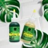 Jamaican Mango & Lime Cactus Oil And Serum - 4oz -Beauty Exchanges jamaican mango lime 2 variants cactus oil cactus oil serum reduce dryness prevents breakage 4oz 379030