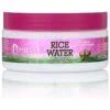 Mielle Rice Water Collection & Aloe Vera Deep Conditoner 8oz 2 Mielle Rice Water Collection & Aloe Vera Deep Conditoner 8oz -Beauty Exchanges mielle rice water collection aloe vera deep conditoner 8oz 181692