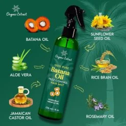 Mitchell Organic Batana Oil Stimulating Trio – 8 Oz 26 Mitchell Organic Batana Oil Stimulating Trio – 8 Oz -Beauty Exchanges mitchell organic batana oil stimulating trio 8 oz 8461161