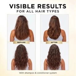 Pantene Pro-V Daily Moisture Renewal Shampoo - 12 Fl Oz -Beauty Exchanges pantene pro v daily moisture renewal shampoo hydrates softens dry hair 12 fl oz 370796