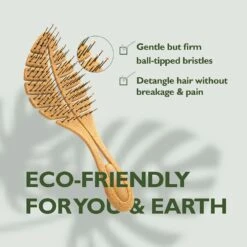 Red By Kiss Eco Plant Fiber Brush – Standard Paddle 10 Red By Kiss Eco Plant Fiber Brush – Standard Paddle -Beauty Exchanges red by kiss eco plant fiber brush hh83 lightweight gentle eco friendly size standard paddle 200760