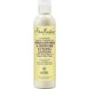 Shea Moisture Jamaican Black Castor Oil Strengthen & Restore Styling Lotion 8oz 1 Shea Moisture Jamaican Black Castor Oil Strengthen & Restore Styling Lotion 8oz -Beauty Exchanges shea moisture jamaican black castor oil strengthen restore styling lotion 8oz 938525