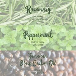 Tropic Isle Hair Gro Rosemary Mint Growth Oil – 4 oz 16 Tropic Isle Hair Gro Rosemary Mint Growth Oil – 4 oz -Beauty Exchanges tropic isle hair gro rosemary mint growth oil 4 oz 128047