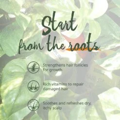 Tropic Isle Hair Gro Rosemary Mint Growth Oil – 4 oz 14 Tropic Isle Hair Gro Rosemary Mint Growth Oil – 4 oz -Beauty Exchanges tropic isle hair gro rosemary mint growth oil 4 oz 539961