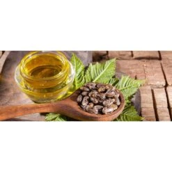 Tropical Essence Jamaican Black Castor Oil - 4 Oz -Beauty Exchanges tropical essence jamaican black castor oil original lavender nourishing hair skin oil 4 oz 624442